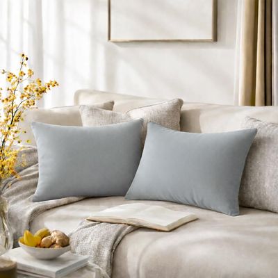 QUORGVES Light Grey Velvet Throw Pillow Covers 12x20 Inch Set of 2 - Gray