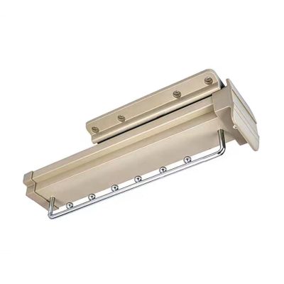 YUGXTH Pull-Out Closet Valet Rod with Double Row Damping Guide Rail, Load 30 Kg(66 LB), Extendable Pull Out Closet Rod for Hanging Clothes(Gold,50cm/19.7in)
