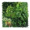 Artificial Grass Wall Panels, 40"x40" Greenery Wall Boxwood Panels, UV-Anti view 1