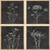 SIGNWIN Adhesive Canvas Poster Wildflower Floral Botanical Retro Minimalist for Living Room, Bedroom, Office - 8"x10"x 4 view 1