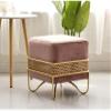 BABYCE Shoe Bench Velvet Footstool Pouffe Chair Bed Foot Stool 45 x 45 x 42 cm for Entrance Bedroom view 4