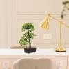 Angoily Faux Plants Indoor Artificial Bonsai Pine Tree Faux Potted Plant Desk Display Fake Tree Pot Japanese Cedar Bonsai Plant for Home Office Hotel Windowsill Zen Garden Decor view 2