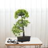 Angoily Faux Plants Indoor Artificial Bonsai Pine Tree Faux Potted Plant Desk Display Fake Tree Pot Japanese Cedar Bonsai Plant for Home Office Hotel Windowsill Zen Garden Decor view 4