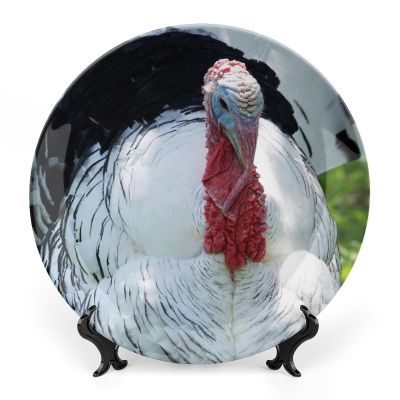 8" Decorative Plate Turkey Bird Wildlife Animal Round Ceramic Plate with Display Stand Modern Porcelain Table Plate Wall Hanging Decoration for Home Office Collectible Art Souvenir
