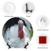 8" Decorative Plate Turkey Bird Wildlife Animal Round Ceramic Plate with Display Stand Modern Porcelain Table Plate Wall Hanging Decoration for Home Office Collectible Art Souvenir view 3