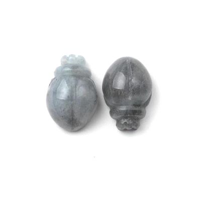 2pcs Natural Crystal Beetle Carving Stone Insects Rock Quartz Gift Craft,2pcs Labradorite