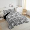 Erosebridal Boho Western Full Bedding Sets for Men Grey White Geometric Bohemian Quilt Exotic Ethnic Tribal Aztec Comforter Set Rustic Farmhouse Duvet Insert Southwestern Room Decor 2 Pillow Cases view 3