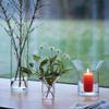 LSA International Union Vase/Lantern 20 cm. Clear view 4