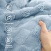 Bedsure GentleSoft Blankets Queen Size for Bed - Super Soft Cozy Blanket for Women Men Girls, Large Fuzzy Fleece Throw for Bedroom Decor, Light Blue, 90x90 Inches view 3