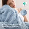 Bedsure GentleSoft Blankets Queen Size for Bed - Super Soft Cozy Blanket for Women Men Girls, Large Fuzzy Fleece Throw for Bedroom Decor, Light Blue, 90x90 Inches view 4