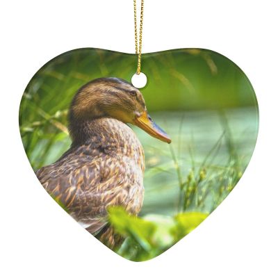 Christmas Keepsake Duck Bird Xmas Ceramic Ornament Christmas Tree Decor Bauble Christmas Stocking Stuffer Gift New Year Party Favors for Men Women Teens Teachers