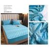 LMXSHJI Fitted Sheet Quilted Layer Crystal Velvet Fabric Mattress Protector Cover Non-Slip Elastic Band Fixation Single Double (Color : Lake Blue, Size : 160x200cm+28cm) view 3