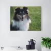 11x14 Canvas Wall Art Dog Shetland Sheepdog Framed Canvas Prints Modern Decor for Home Bathroom Office Farmhouse Canvas Artwork Poster Housewarming Gift for New Homeowners view 3