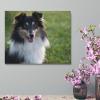 11x14 Canvas Wall Art Dog Shetland Sheepdog Framed Canvas Prints Modern Decor for Home Bathroom Office Farmhouse Canvas Artwork Poster Housewarming Gift for New Homeowners view 4