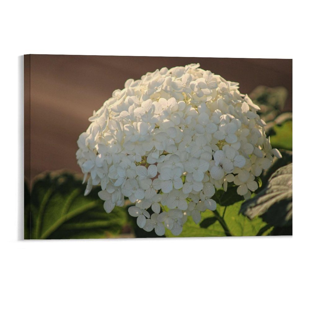 11x17 Canvas Wall Art Flower Hydrangea Blossom Framed Canvas Prints Modern Decor for Home Bathroom Office Farmhouse Canvas Artwork Poster Housewarming Gift for New Homeowners