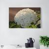 11x17 Canvas Wall Art Flower Hydrangea Blossom Framed Canvas Prints Modern Decor for Home Bathroom Office Farmhouse Canvas Artwork Poster Housewarming Gift for New Homeowners view 3