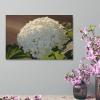 11x17 Canvas Wall Art Flower Hydrangea Blossom Framed Canvas Prints Modern Decor for Home Bathroom Office Farmhouse Canvas Artwork Poster Housewarming Gift for New Homeowners view 4