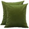 TangDepot Pack of 2 Solid Velvet Throw Pillow Covers, Cushion Shams, Super Luxury Soft Pillow Cases, Square Pillow Shells - (16x16 Inch 2 Pieces, Kiwi) view 1