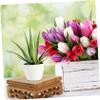 NOLITOY 5pcs Square Display Stand for Flower Pots and Statues Rustic Teapot Base Craft Riser for Home and Garden Decor Natural Wood Finish view 3