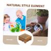 NOLITOY 5pcs Square Display Stand for Flower Pots and Statues Rustic Teapot Base Craft Riser for Home and Garden Decor Natural Wood Finish view 4