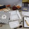 C.R. Gibson Recipe Card and Box Set - Vintage Style Tin Recipe Box with 40 Cards and 12 Dividers, 4.2" x 6.6", Honeycomb Hive view 2