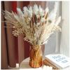 ZYAURA F 104 Pcs/Dried Pampas Grass,Pompous Grass,Bunny Tails Dried Flowers Reed Grass,for Flower Arrangements Boho Wedding Home Dcor Y view 1