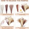ZYAURA F 104 Pcs/Dried Pampas Grass,Pompous Grass,Bunny Tails Dried Flowers Reed Grass,for Flower Arrangements Boho Wedding Home Dcor Y view 3