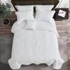 DaisyHuang Botanical Oversized Bedspread Queen Size - Leaves Pattern Stitching Quilt Set - Elegant & Fresh Style Bedding Coverlets, Reversible, Lightweight, 5 Piece, White view 3