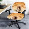 Autumn Squirrel Office Chair Covers, 2 Piece Set-Fall Maple Leaf Branch Stretch Elastic Computer Desk Chair Back Cover&Protective Stretchable Rotating Cushion Slipcover Thanksgiving Day Plant view 3
