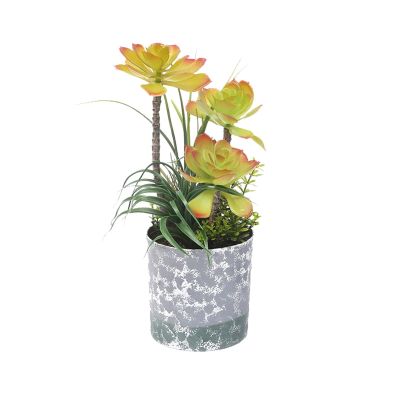 HASMI Fake Plants Artificial Succulent Plants Tropical Tree Fake Tree Bonsai Mini Agave Potted for Home Desktop Shelf Porch Decor Bonsai Tree (Color : D)