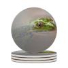 Ceramic Coasters for Drinks, Frog Coaster Set, Coasters for Coffee Table, Coaster Set for Tabletop Protection, Coasters with Cork Base, Farmhouse Home Kitchen Decor view 1
