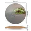 Ceramic Coasters for Drinks, Frog Coaster Set, Coasters for Coffee Table, Coaster Set for Tabletop Protection, Coasters with Cork Base, Farmhouse Home Kitchen Decor view 2