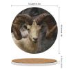Bighorn Sheep Coaster, Set of 4 Ceramic Coaster for Drinks, Absorbent Coaster for Coffee Table, Round Coaster with Cork Base, Housewarming Gifts, Tableware Decoration view 2