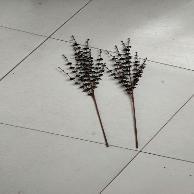Artificial Grass Flowers Supply Pe Foam Face Beads Grass Flower Atmosphere Arrangement Decorative Flowers Multi-Color Can Be