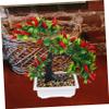 CAXUSD Plastic Artificial Chili Plants Simulated Plant Pots Fake Chili Decor for Room Decoration view 3