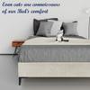 Greaton, 15-Inch Premium Velvet Material Wood Platform Bed, Durable, Stylish, Multi Colour Options, No Box Spring Needed, Black Metal Legs, 75" x 48", Taupe view 4