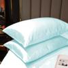 PURE ECO Luxurious 2 Piece Pillowcase Silk Satin Pillow Cover Standard Size, Long-Staple Soft & Silk Pillowcase for Hair and Skin, Envelope Closure(Standard 20" x 26", Aqua Blue) view 2