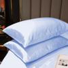 PURE ECO Luxurious 2 Piece Pillowcase Silk Satin Pillow Cover Standard Size, Long-Staple Soft & Silk Pillowcase for Hair and Skin, Envelope Closure(Standard 20" x 26", Light Blue) view 2