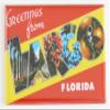Greetings from Largo Florida Fridge Magnet (1.75 x 2.75 inches) view 1