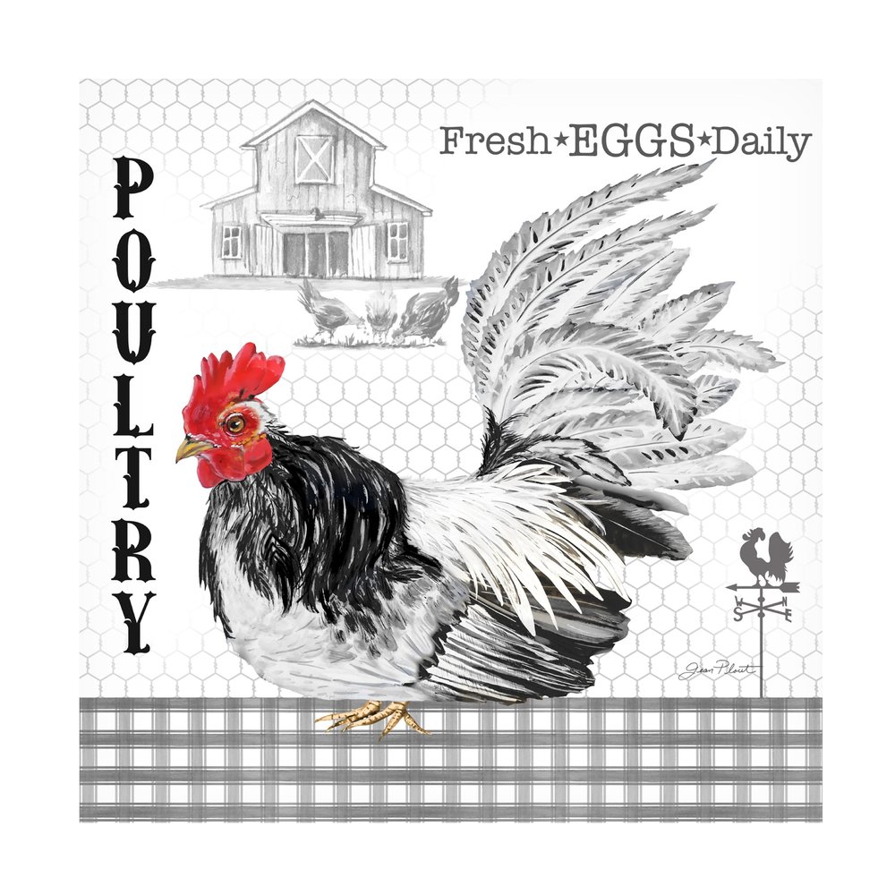 Trademark Fine Art Canvas Wall Art - Jean Plout 'Plaid Country Rooster C' Wall Art for Living Room, Bedroom, or Office Dcor 14 x 14 Inches