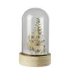 HomArt Snowglobe, Glass & Wood - Sm view 2