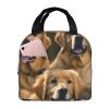 Adult Lunch Bag,Tote Box For Work/Picnic/Travel,Leakproof Tote Bags Fit For Ice Pack,Golden Retrievers Cooler Bag view 1
