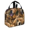 Adult Lunch Bag,Tote Box For Work/Picnic/Travel,Leakproof Tote Bags Fit For Ice Pack,Golden Retrievers Cooler Bag view 2