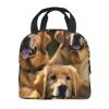 Adult Lunch Bag,Tote Box For Work/Picnic/Travel,Leakproof Tote Bags Fit For Ice Pack,Golden Retrievers Cooler Bag view 3