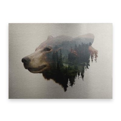 Davies Babies 'Pacific Northwest Black Bear' Floating Brushed Aluminum Art