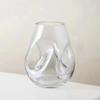 AISEER Light Luxury Style Irregular Shaped Glass Vase - Transparent Shaped Irregular Light Luxury Simple Glass Vase, for Decorative Center Vases,Table Decor,vases Suitable for Home Decoration view 1