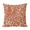 MangGou Orange and Light Brown Leopard Pillow Case Cheetah Throw Pillow Animal Print Cushion Cover Orange and Light Brown Antelope Pillow Covers 26x26in Pillowcase Decor for Couch Sofa Bed Car view 4