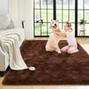 Noahas Fluffy Bedroom Rug,3x5 Feet Plush Fuzzy Brown Area Rugs for Living Room, Non Slip Thick Soft Shaggy Nursery Furry Floor Dorm Kids Carpet view 1