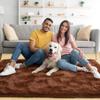 Noahas Fluffy Bedroom Rug,3x5 Feet Plush Fuzzy Brown Area Rugs for Living Room, Non Slip Thick Soft Shaggy Nursery Furry Floor Dorm Kids Carpet view 2