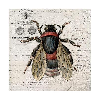 Karen Smith 'History Bee I' Canvas Art